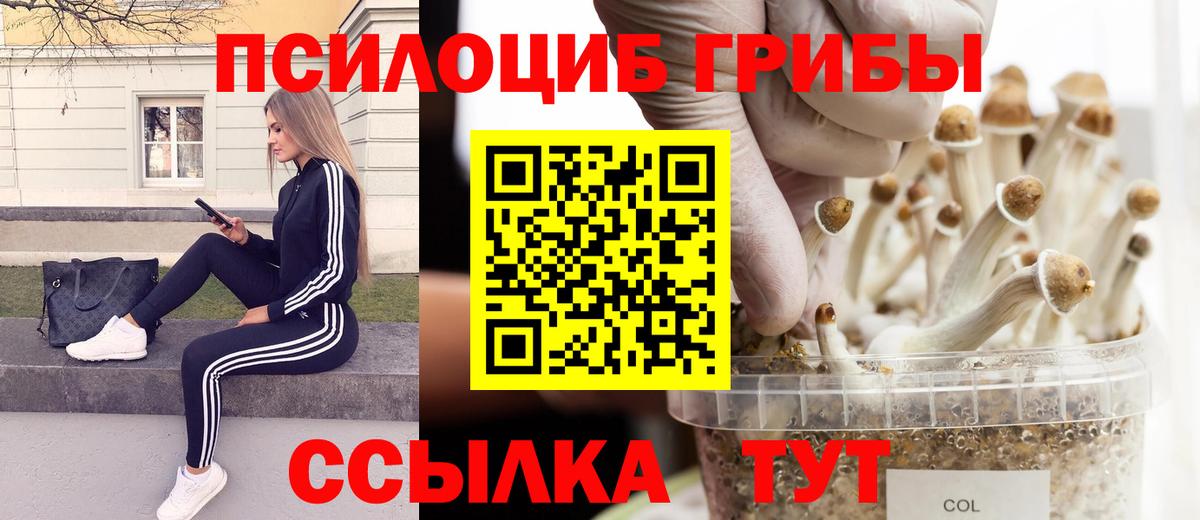 Псилоцибиновые грибы Cubensis Прокопьевск